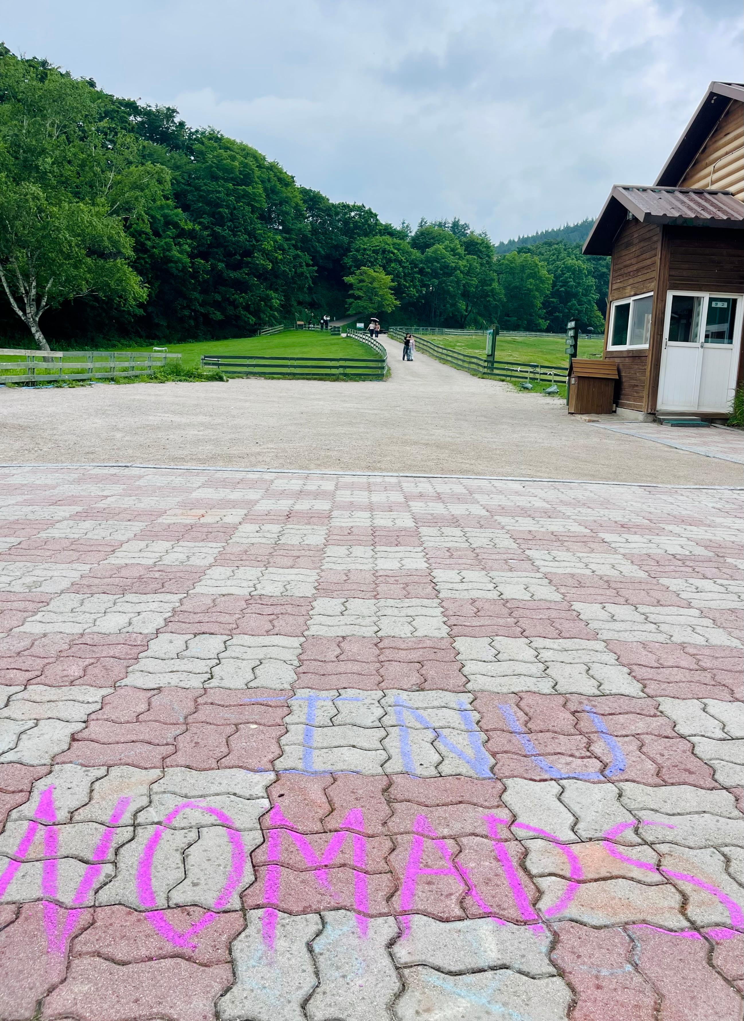 🌊 INU NOMADS: A Day of Nature, Markets & the Sea in Gangneung 대표이미지